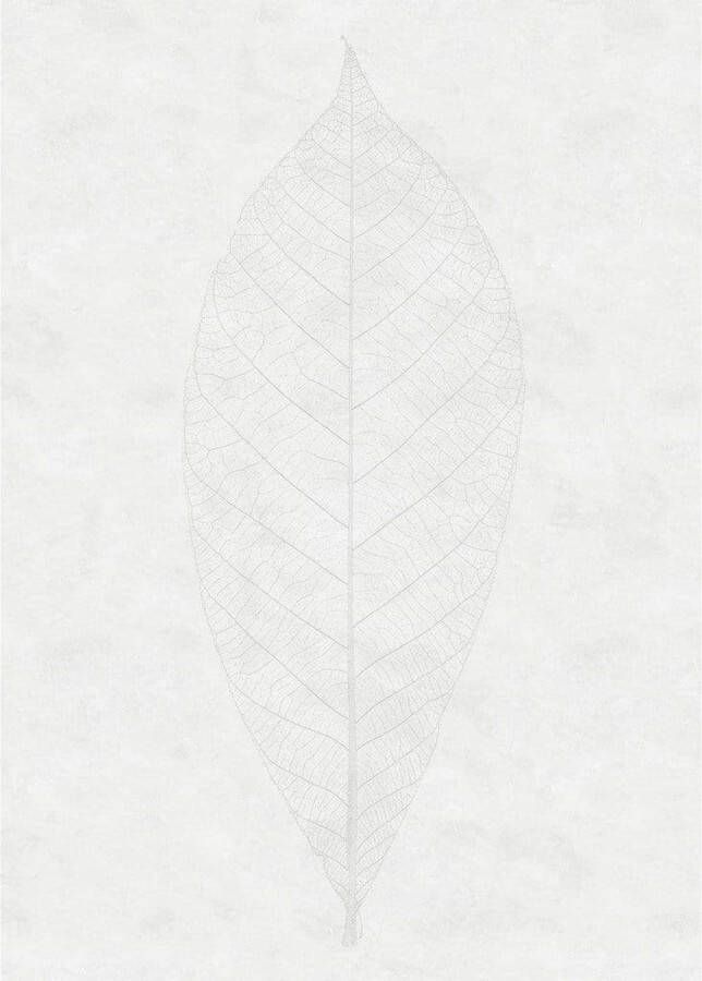 Komar Fotobehang Decent Leaf 200x280cm Vliesbehang