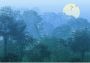 Komar Deep in the Jungle Vlies Fotobehang 400x280cm 8-Banen - Thumbnail 1