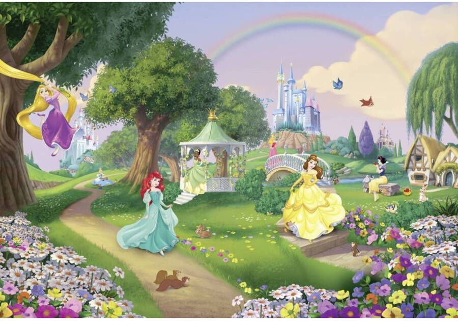 Komar Fotobehang Disney Princess Rainbow 368x254cm Papierbehang