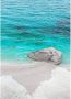 Komar Dreambay Vlies Fotobehang 200x280cm 4-banen - Thumbnail 1