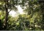 Komar Vliesbehang Junglekleur 350x250 cm (breedte x hoogte) - Thumbnail 1