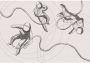 Komar Vliesbehang Extraordinary Astronauts 400x280 cm (breedte x hoogte) - Thumbnail 1