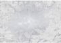 Komar Vliesbehang FLORA 400x280 cm (breedte x hoogte) (set) - Thumbnail 1