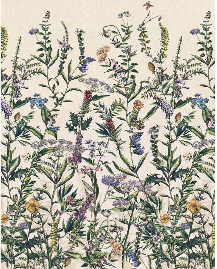 Komar Vliesbehang Flowering Herbs 200 x 250 cm (breedte x hoogte)