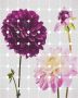 Komar Flowers and Dots Vlies Fotobehang 200x250cm 2-banen - Thumbnail 1