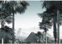 Komar Vliesbehang Vliestapete Guanabara 400x280 cm (breedte x hoogte) - Thumbnail 1