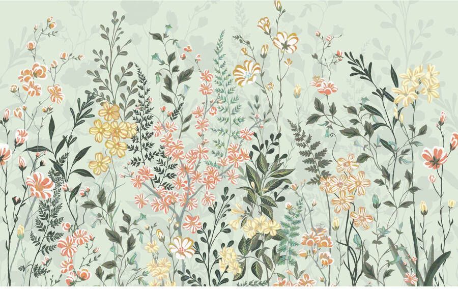 Komar Fotobehang Hay Meadow 400x250cm Vliesbehang