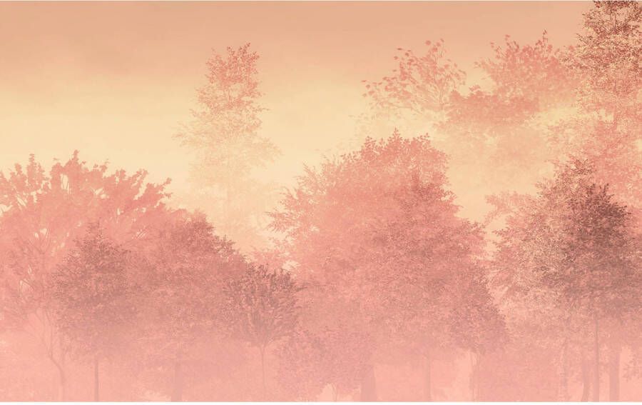Komar Fotobehang Heartwood 400x250cm Vliesbehang