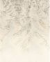 Komar Vliesbehang Herbarium 200 x 250 cm (breedte x hoogte) (1 stuk) - Thumbnail 1