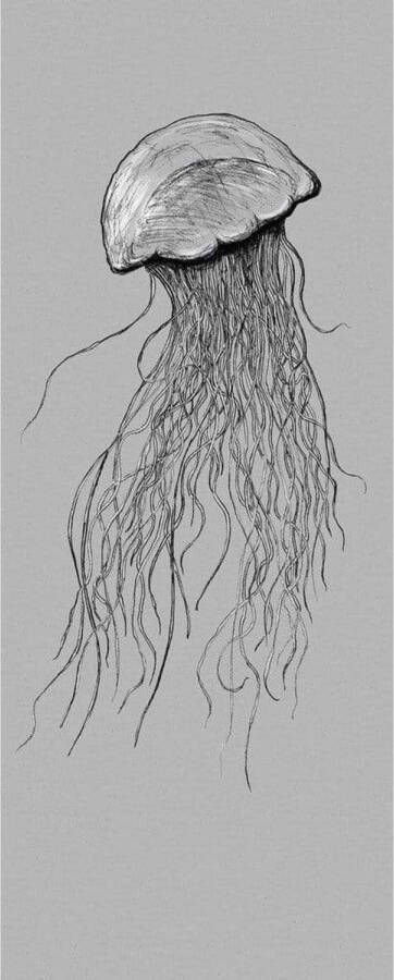 Komar Fotobehang Jellyfish 100x250cm Vliesbehang