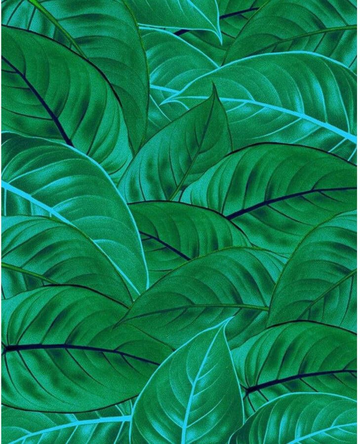 Komar Fotobehang Jungle Leaves 200x250cm Vliesbehang