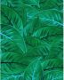 Komar Jungle Leaves Vlies Fotobehang 200x250cm 2-banen - Thumbnail 1