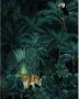 Komar Vliesbehang Jungle Night 200 x 250 cm (breedte x hoogte) - Thumbnail 1