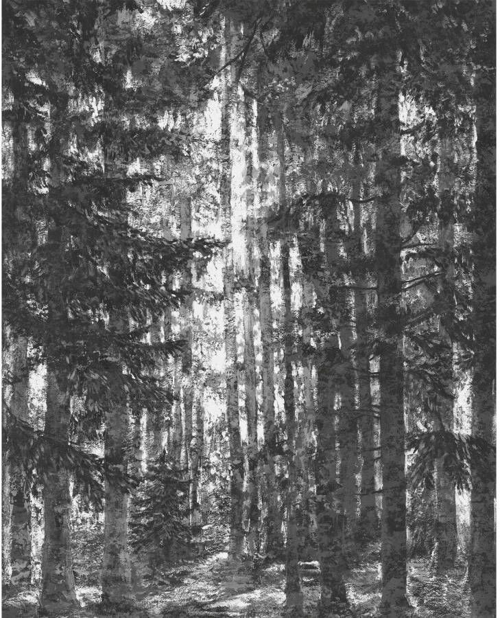 Komar Fotobehang Lustres Lapland 200x250cm Vliesbehang