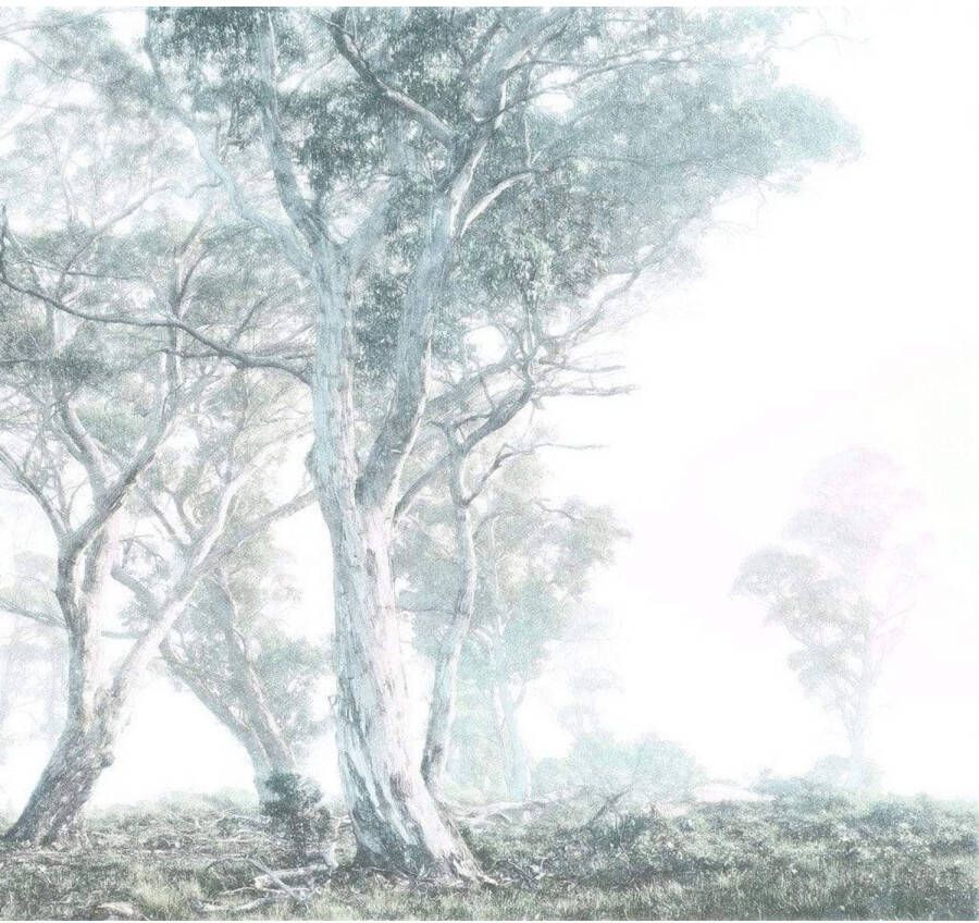 Komar Fotobehang Magic Trees 300x280cm Vliesbehang