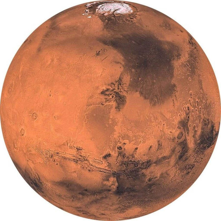 Komar Fotobehang Mars 125x125cm Rond Vliesbehang Zelfklevend