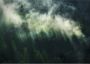 Komar Vliesbehang Misty Crowns 350x250 cm (breedte x hoogte) - Thumbnail 1