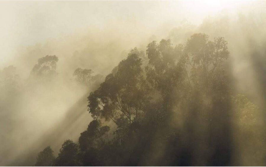 Komar Misty Mountain Vlies Fotobehang 400x250cm 4-banen