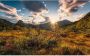 Komar Norwegische Herbstwelten Vlies Fotobehang 450x280cm 9-banen - Thumbnail 1