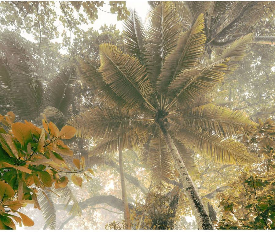 Komar Fotobehang Palms Panorama 300x250cm Vliesbehang