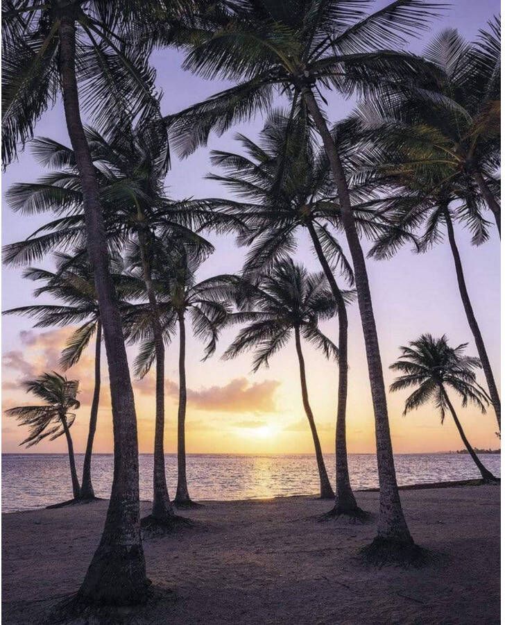 Komar Fotobehang Palmtrees on Beach 200x250cm Vliesbehang