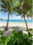 Komar Palmy Beach Vlies Fotobehang 200x280cm 4-banen - Thumbnail 1