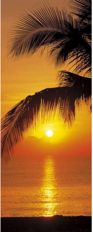 Komar Fotobehang Palmy Beach Sunrise 92x220cm Papierbehang