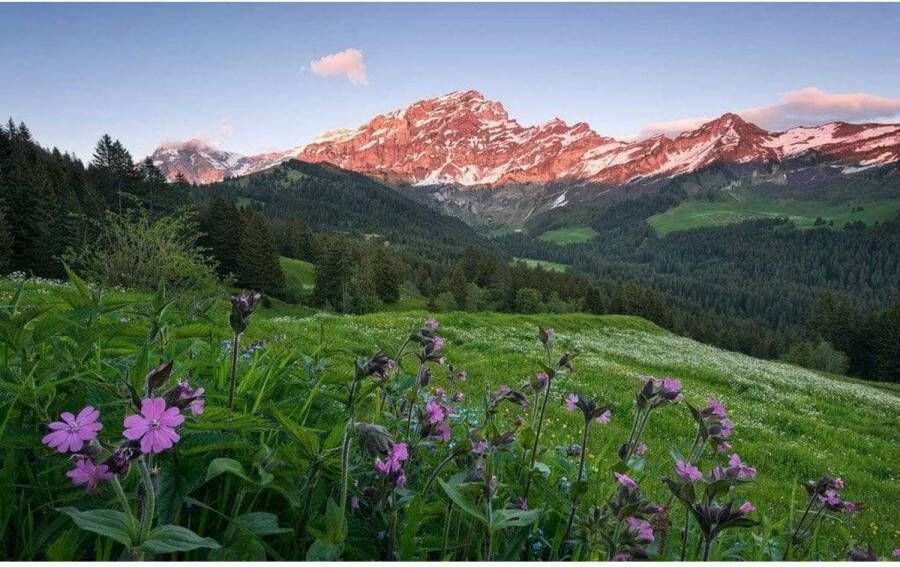 Komar Fotobehang Picturesque Switzerland 450x280cm Vliesbehang