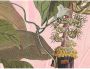 Komar Vliesbehang Plantation 350x270 cm (breedte x hoogte) - Thumbnail 1