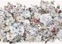 Komar Vliesbehang Digitale print vlies Posy Afmeting 400 x 280 cm - Thumbnail 1