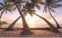 Komar Vliesbehang Digitale print vlies Reaching the Sun Afmeting 400 x 250 cm (1 stuk) - Thumbnail 1