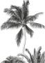 Komar Vliesbehang Retro Palm 200x280 cm (breedte x hoogte) - Thumbnail 1