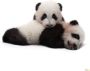 Komar Vliesbehang Giant panda 300 x 280 cm (breedte x hoogte) 6 banen (6 stuks) - Thumbnail 1