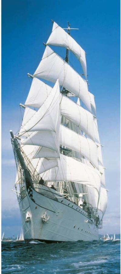 Komar Fotobehang Sailing Boat 86x220cm Papierbehang