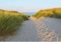 Komar Fotobehang Sandy Path 368x254 cm (breedte x hoogte) inclusief pasta (set) - Thumbnail 1