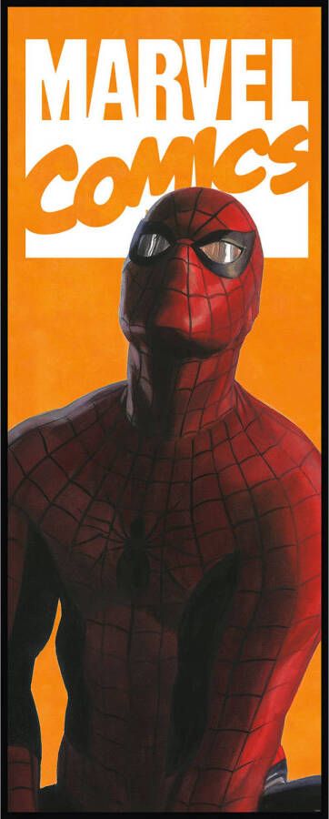 Komar Fotobehang Spider-Man Comic 100x250cm Vliesbehang