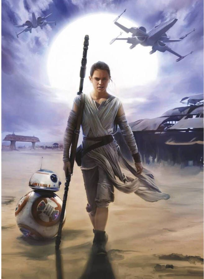 Komar Fotobehang Star Wars Rey 184x254cm Papierbehang