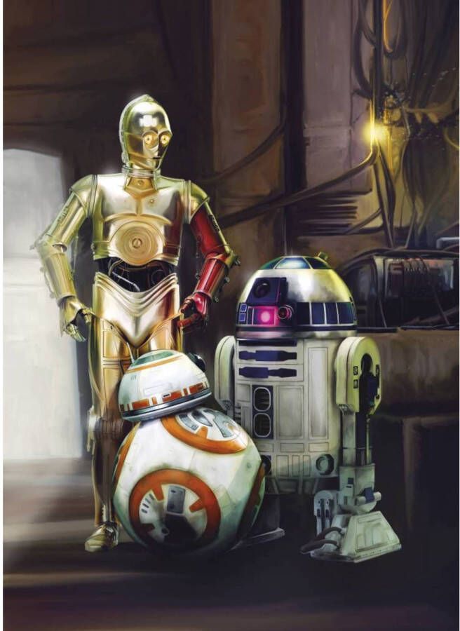 Komar Fotobehang Star Wars Three Droids 184x254 cm (breedte x hoogte) inclusief plaksel (set)