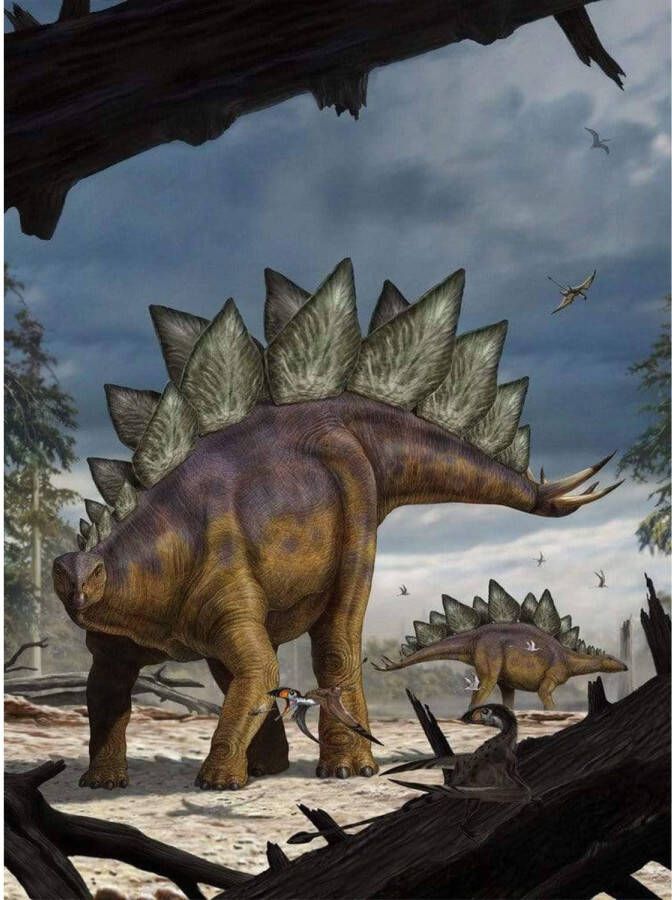 Komar Stegosaurus Vlies Fotobehang 184x248cm 2-banen