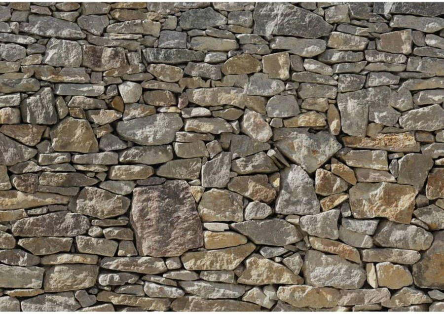 Komar Fotobehang Stone Wall 368x254 cm 8-727