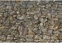 Komar Fotobehang Stone walvis 368x254 cm (breedte x hoogte) inclusief pasta (set) - Thumbnail 1