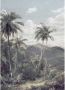 Komar The Exotic Land Vlies Fotobehang 200x280cm 2-banen - Thumbnail 1