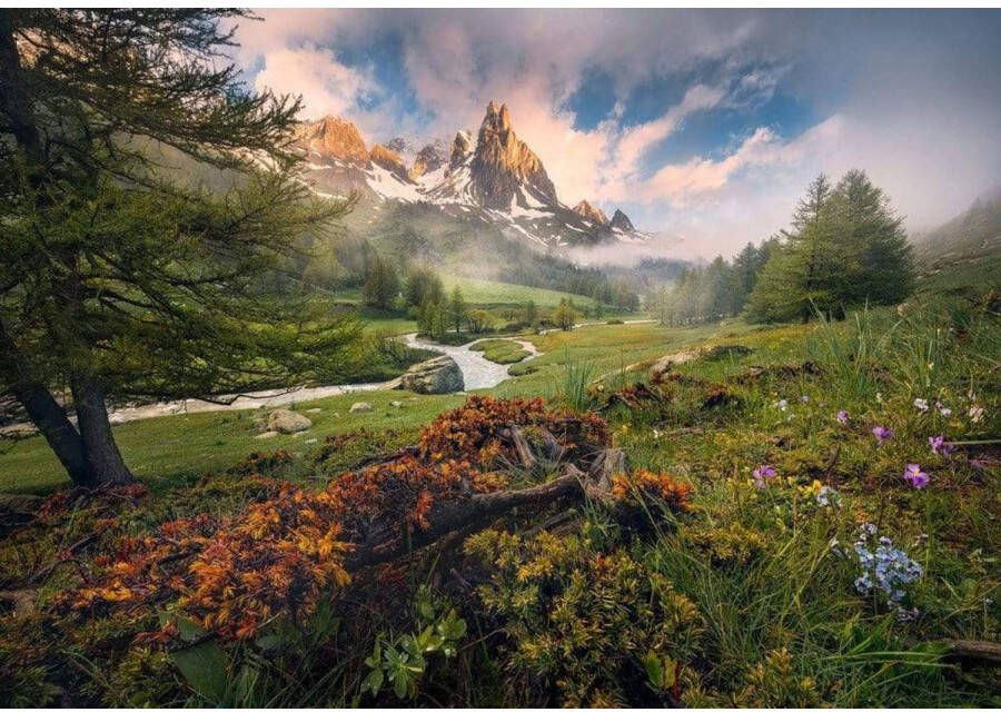 Komar Vliesbehang Digitale print vlies The Last Paradise Afmeting 400 x 280 cm (8 stuks)