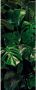 Komar Tropical Wall Vlies Fotobehang 100x250cm 1-baan - Thumbnail 1