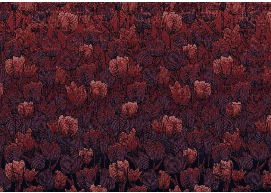 Komar Fotobehang Tulipe 400x280cm Vliesbehang