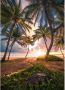 Komar Vertical Paradise Vlies Fotobehang 200x280cm 4-banen - Thumbnail 1