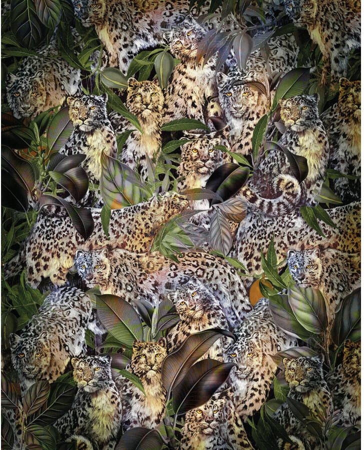 Komar Vliesbehang Wild Cats 200 x 250 cm (breedte x hoogte) (4 stuks)