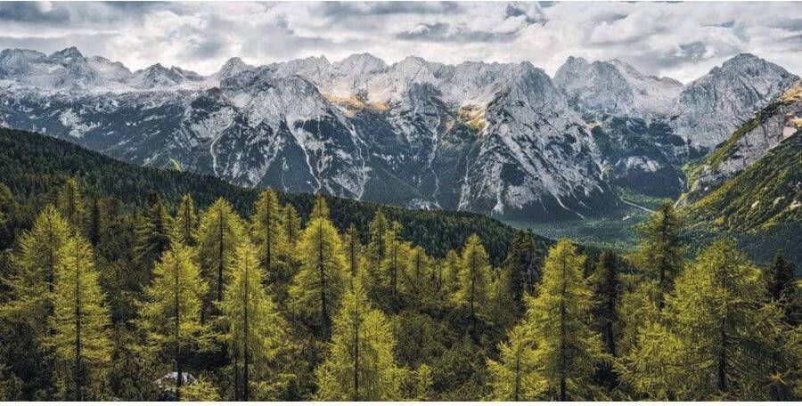 Komar Fotobehang Wild Dolomites 200x100cm Vliesbehang