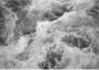 Komar Vliesbehang Wildest Water 350x250 cm (breedte x hoogte) (1 stuk) - Thumbnail 1