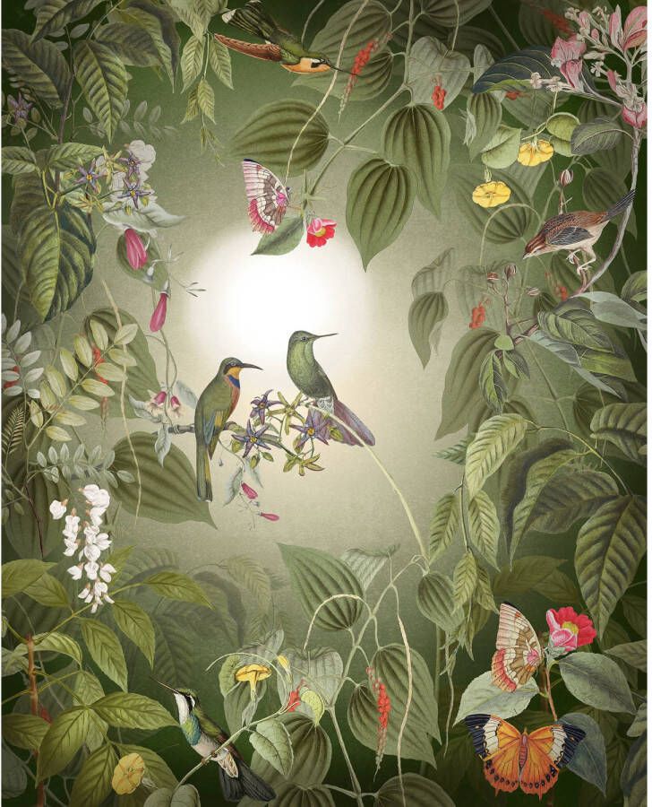 Komar Vliesbehang Digitale print vlies Wildlife Birds Afmeting 200 x 250 cm (1 stuk)